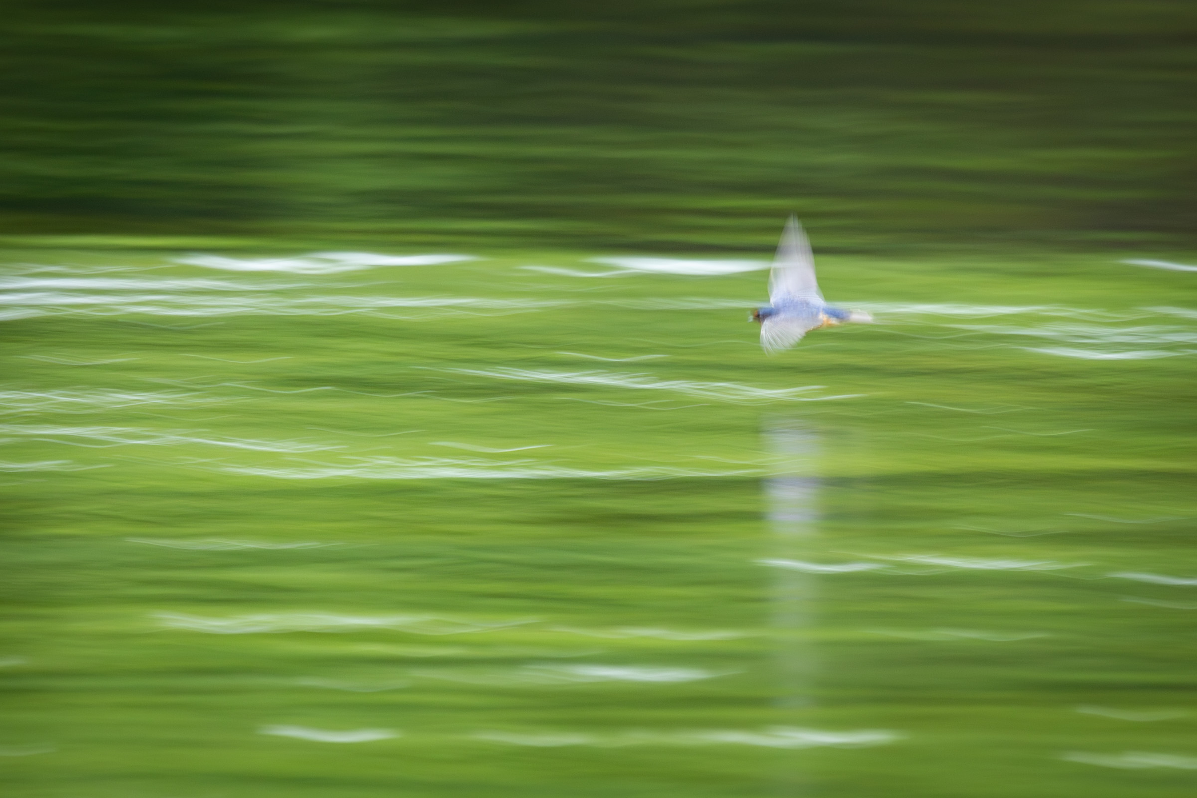 IMG_0281-Enhanced-NR.jpg