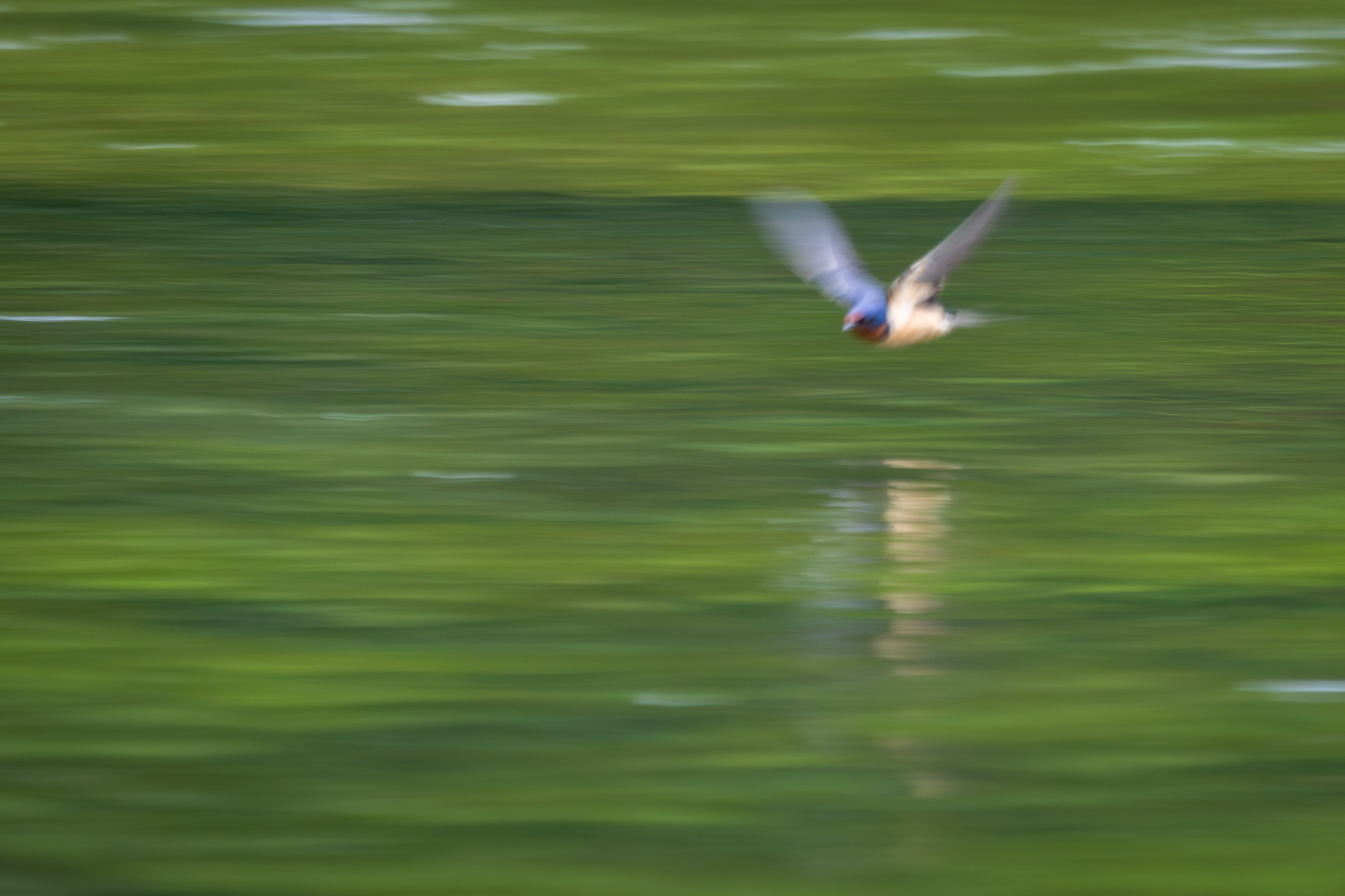 IMG_0276-Enhanced-NR.jpg