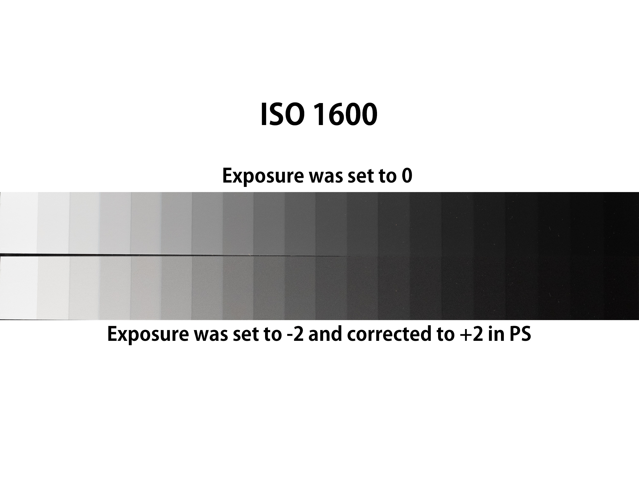 iso test 1600.jpg