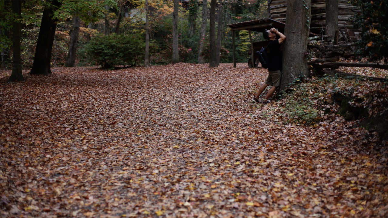 Untitled Project 4.jpg