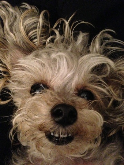 Juneko-Happy face copy 1.jpg