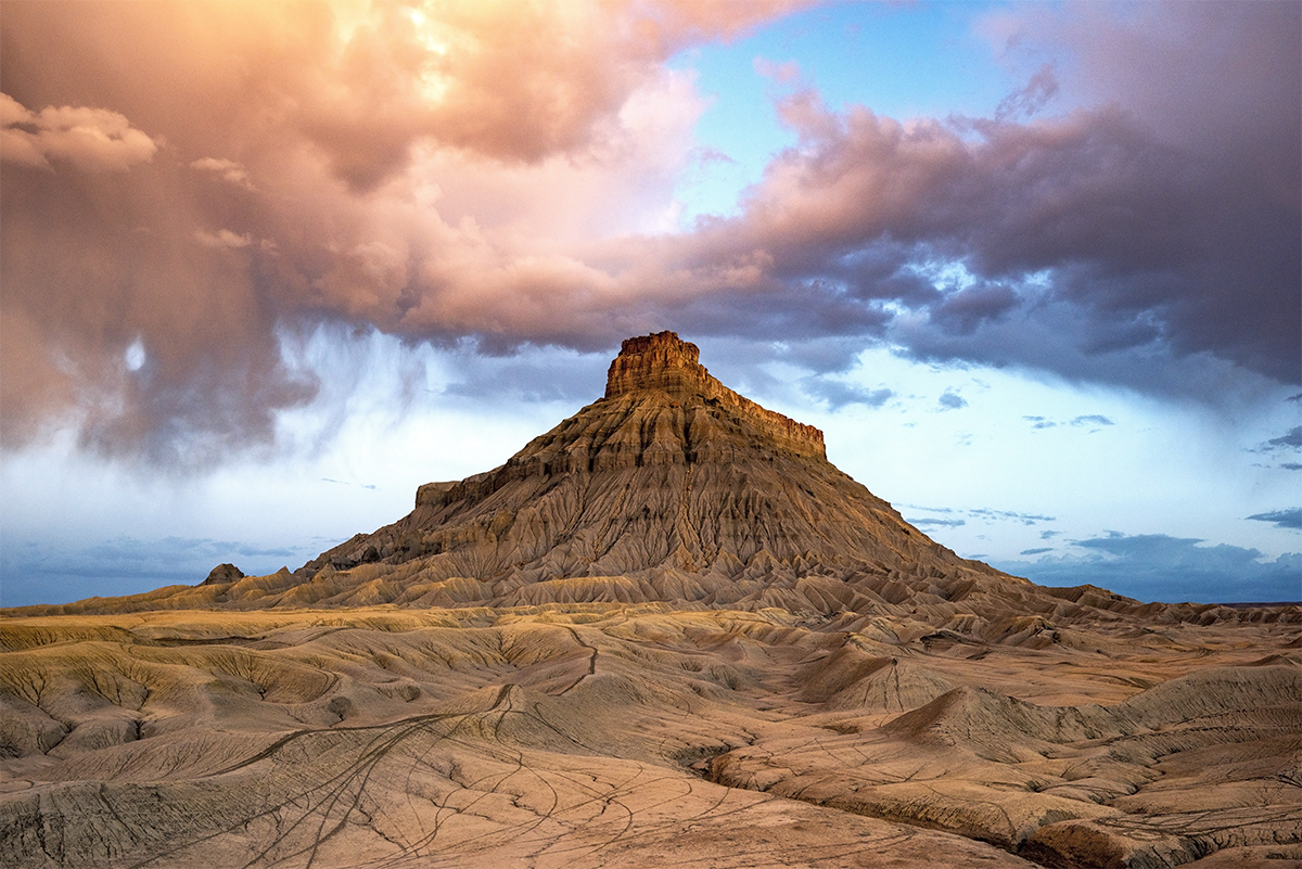 DSC_3647 PS 1200px.jpg