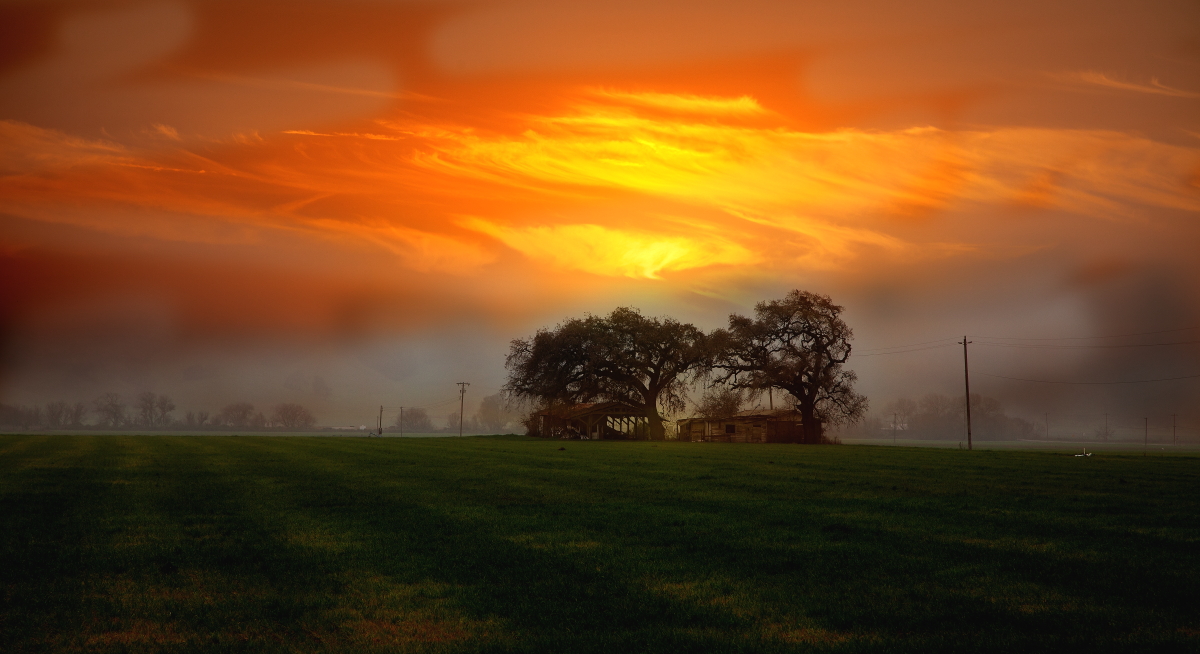 4624-EOS 5D Mark II.JPG