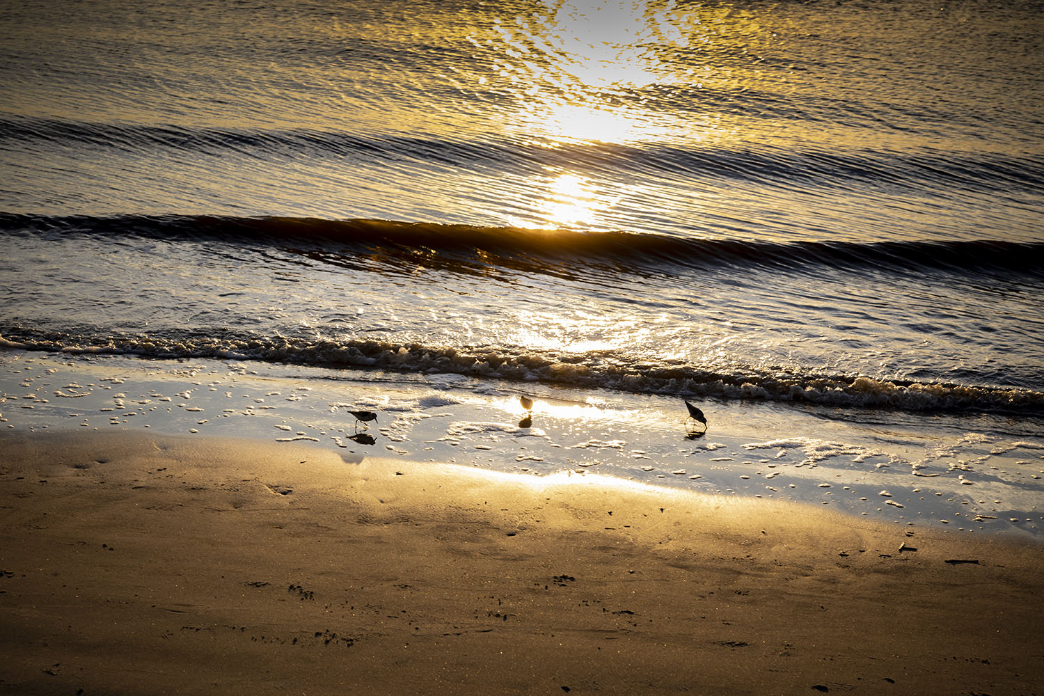 _S2A1544-Edit copy.jpg