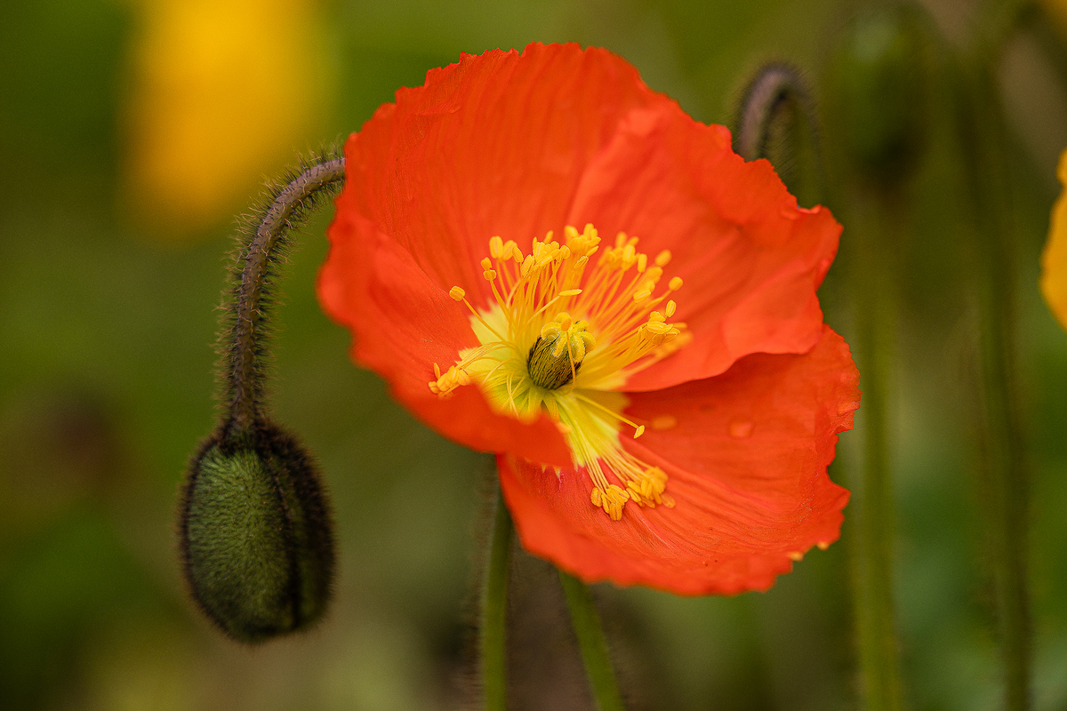 EOS 5D Mark IV_2933-편집.jpg