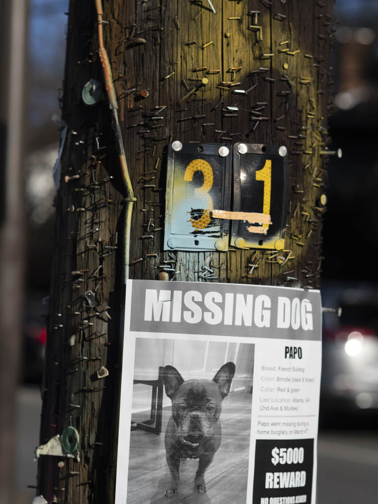 3-13 krog 14 missing dog.jpg