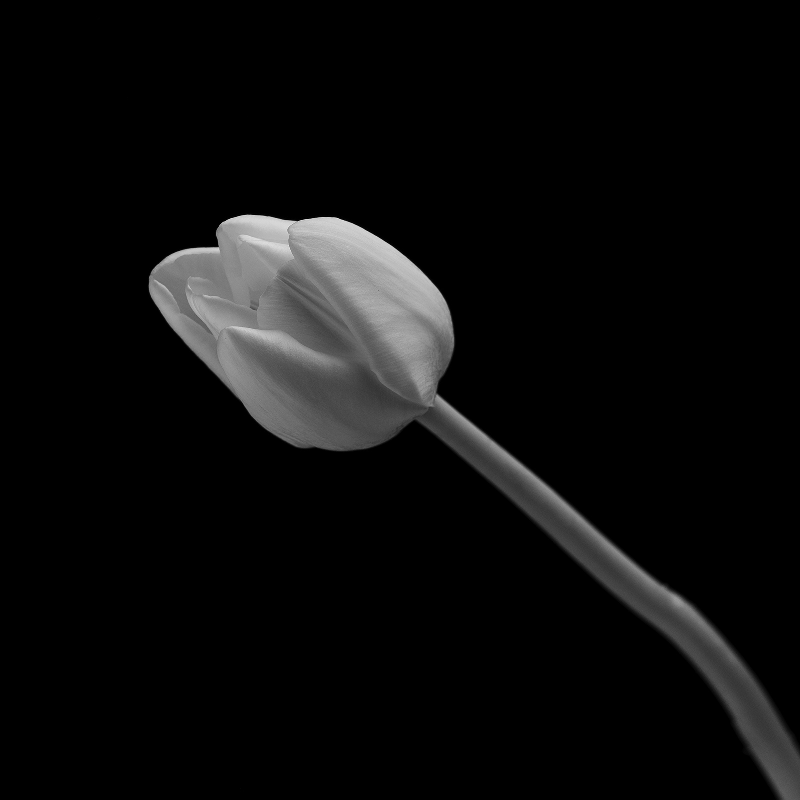 DSC01554-Edit copy.jpg