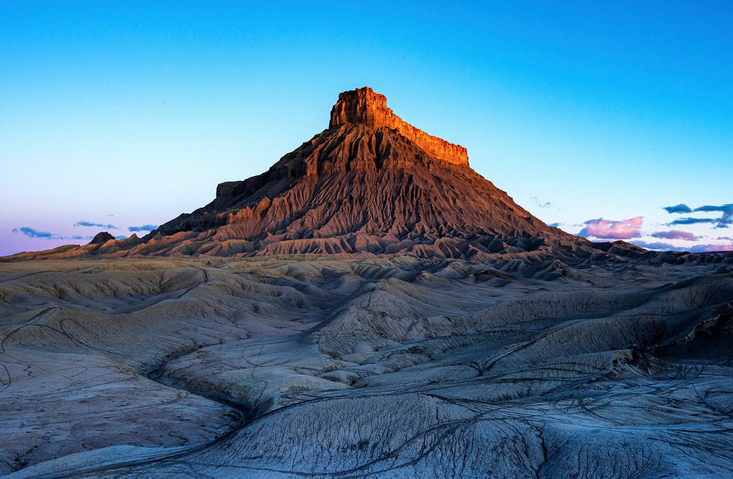 DSC_3925 PS Crop1 1800px.jpg