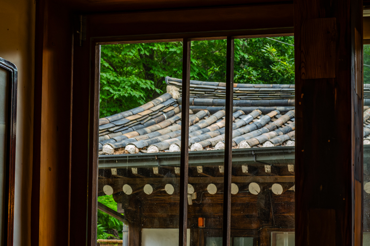 L1023569-향상됨-노이즈 감소-편집.jpg