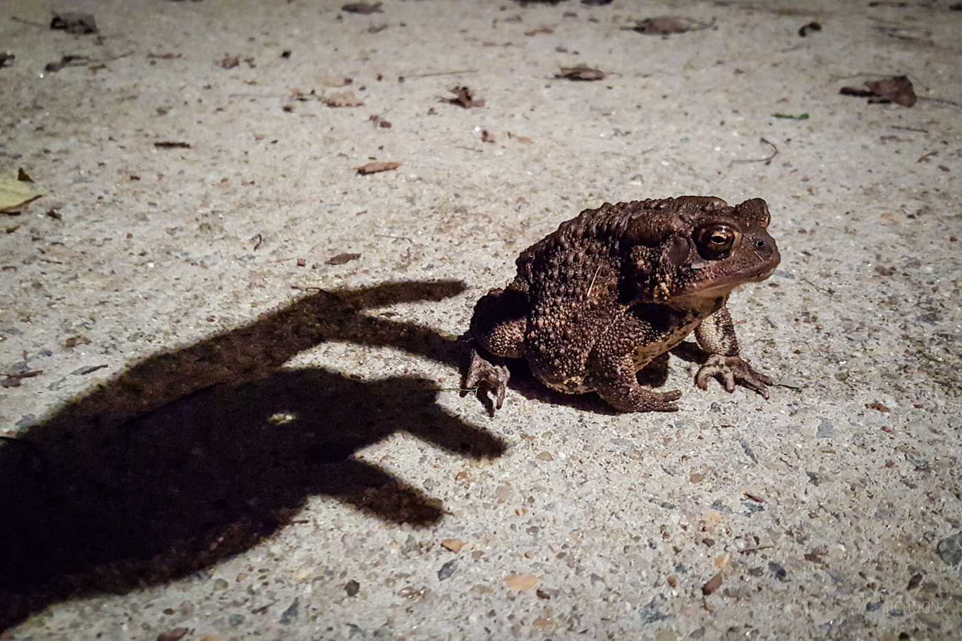 2015-09-12 22.20.39.jpg