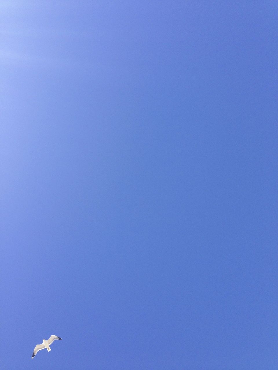 IMG_1829.jpg : blue sky