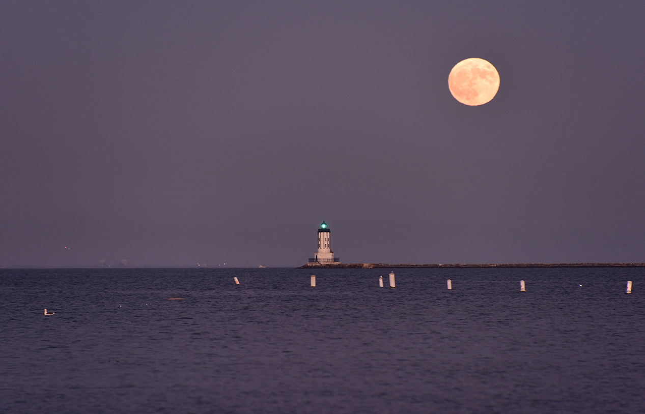 DSC_8851 PS N Vign Crop3.jpg