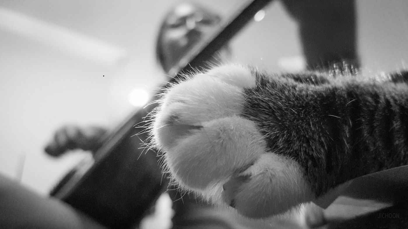 2016-06-16 23.40.28.jpg