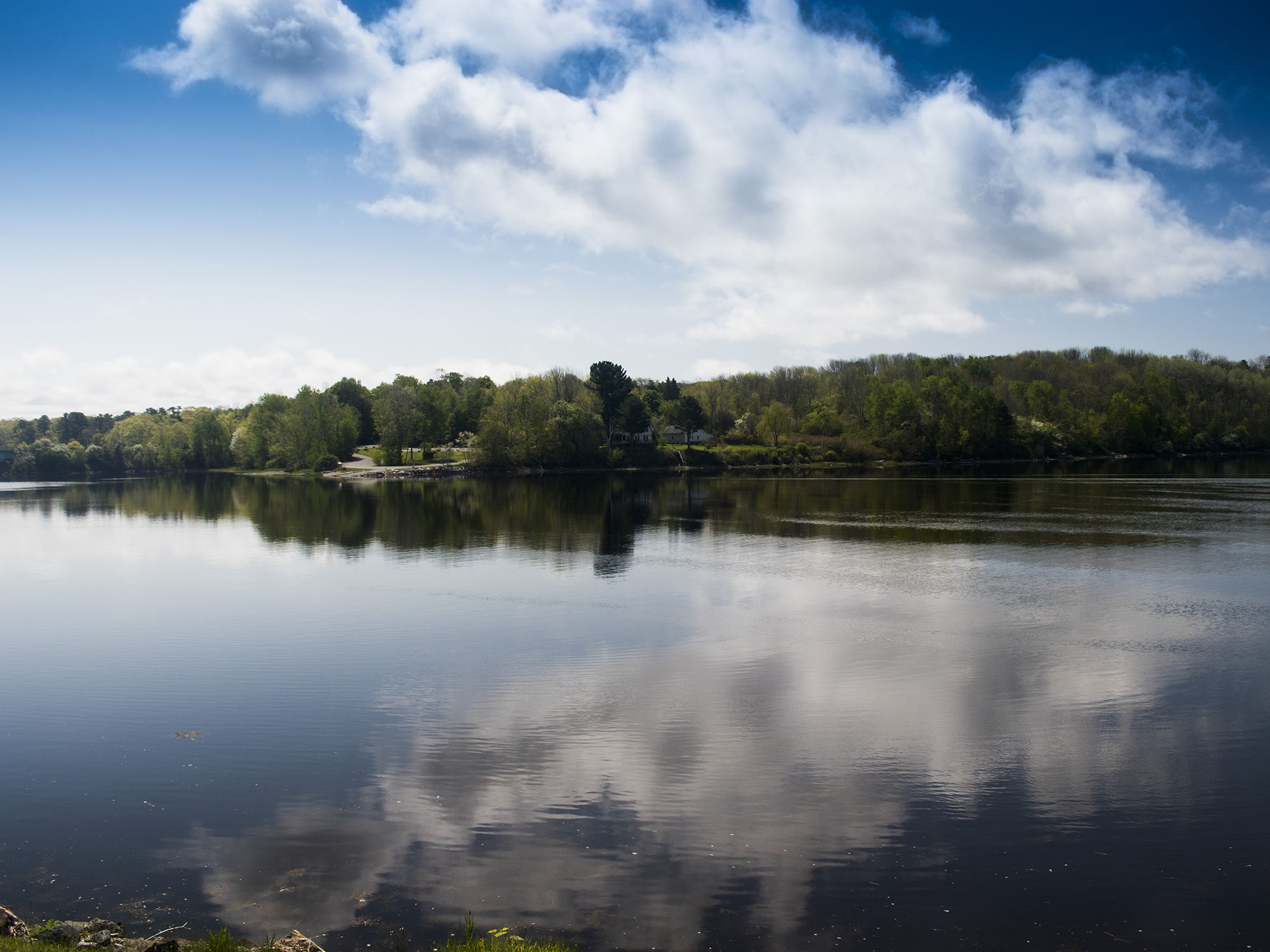 IMG_1662 ---------1.jpg