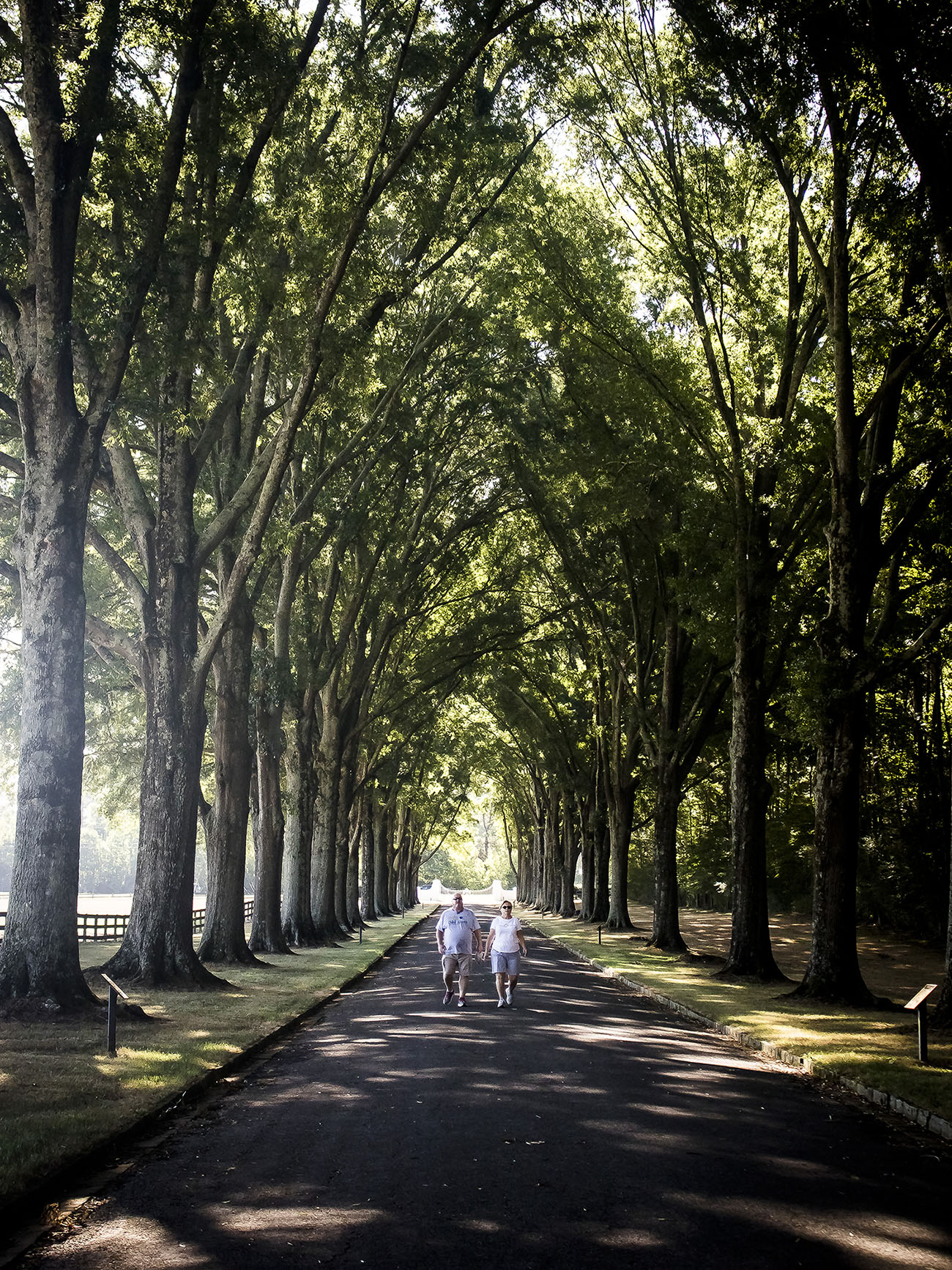 IMG_1996 ---------1.jpg