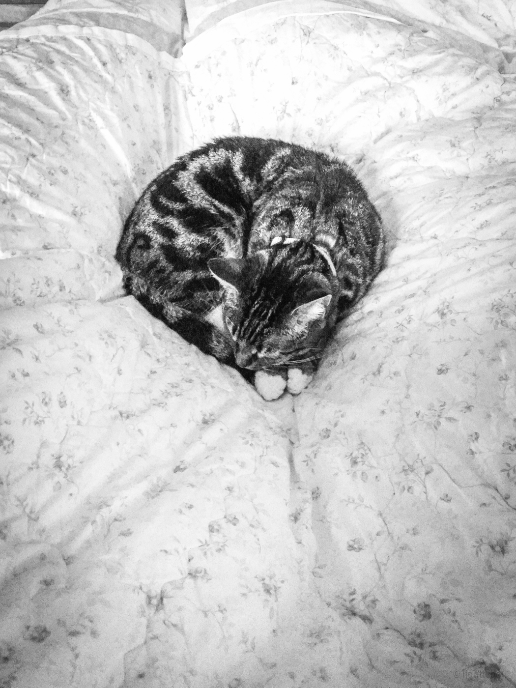 2014-03-22 08.27.36.jpg