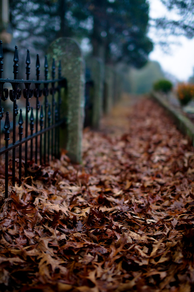 F24T8599.jpg : 테스트 용 망작