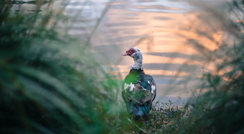 IMG_1074 복사본.jpg