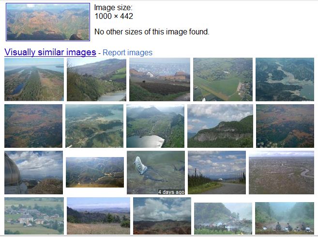 Google image search.JPG
