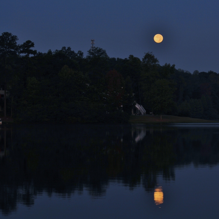 달님1 (730x730).jpg