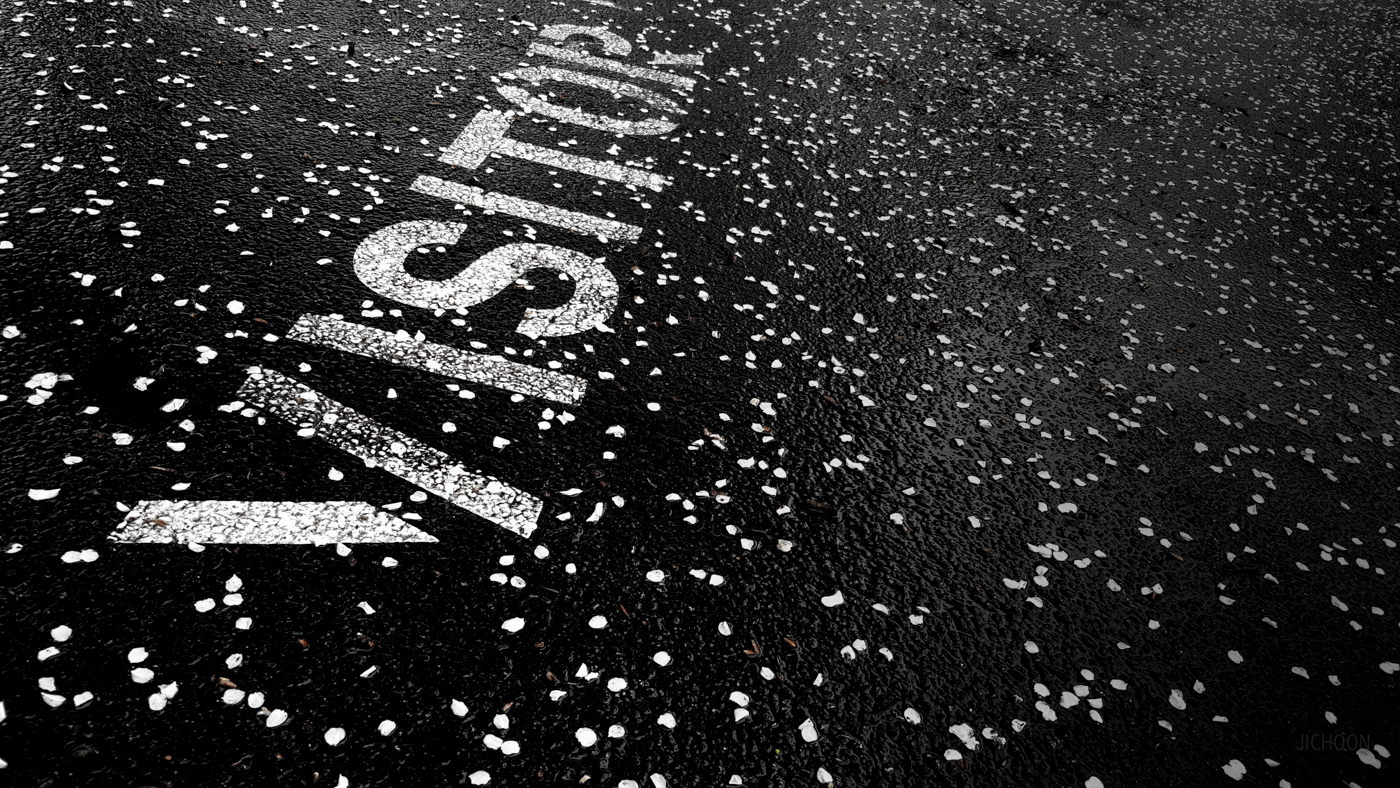 2016-03-24 18.28.46.jpg