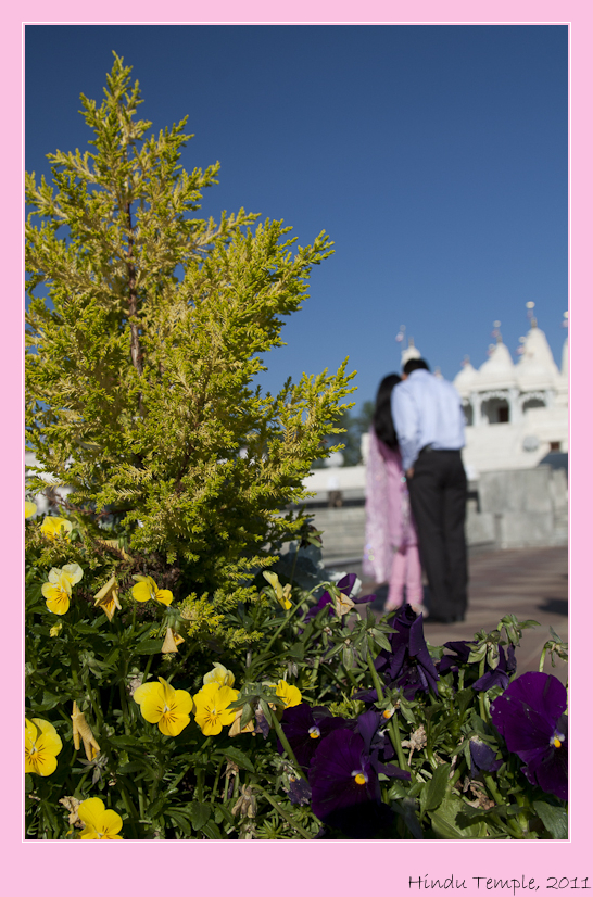 HinduTemp3.jpg