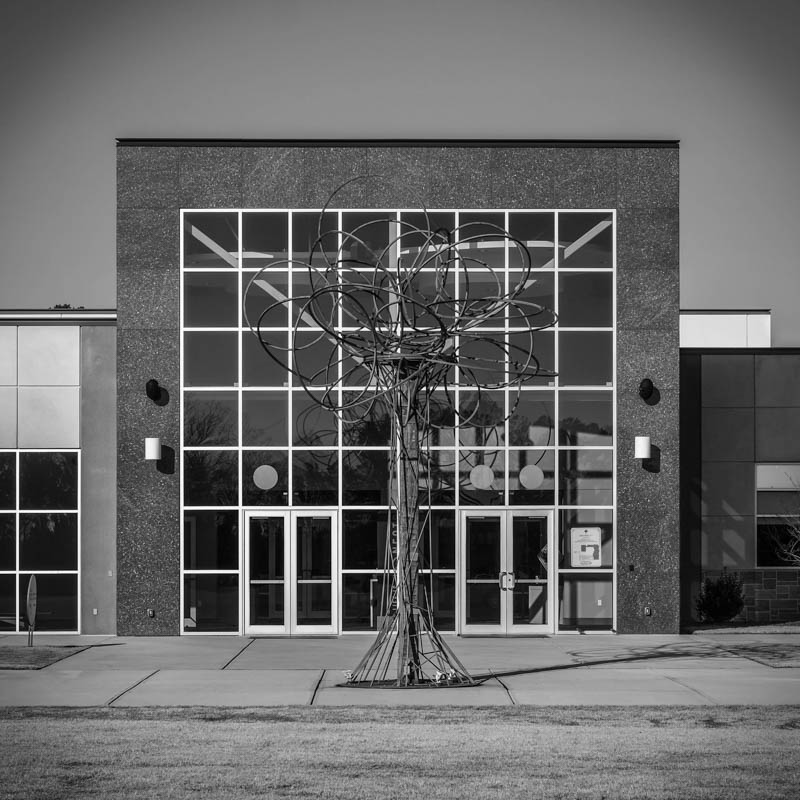 monocrom - tree on grid.JPG