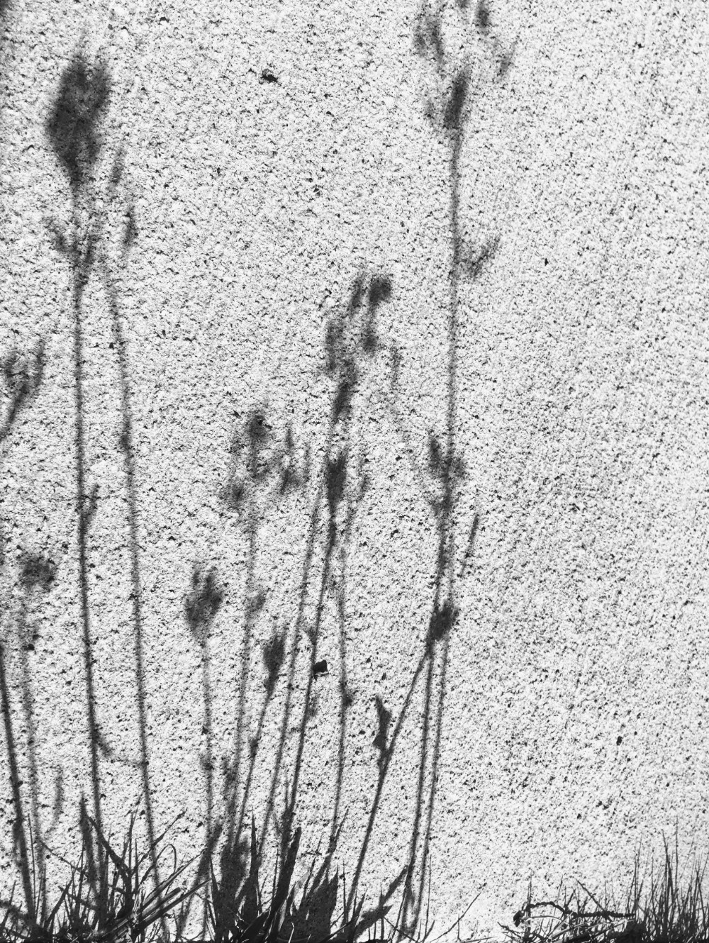 IMG_8055 - Edited.jpg