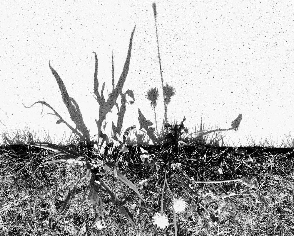 IMG_8052 - Edited.jpg