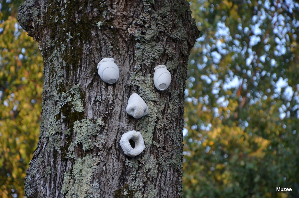 1-DSC_0079.JPG : 우리동네 파수꾼