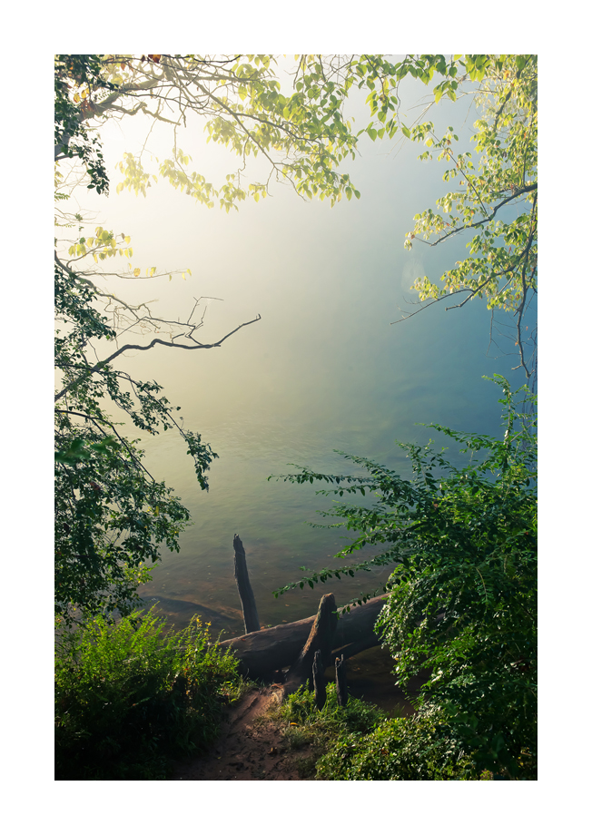 FoggyRiver.jpg