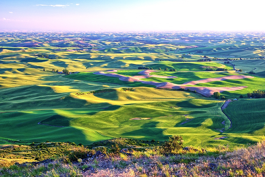 DSC_3764 PS1 1060px.jpg