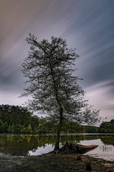 monocrom - alone - color.JPG