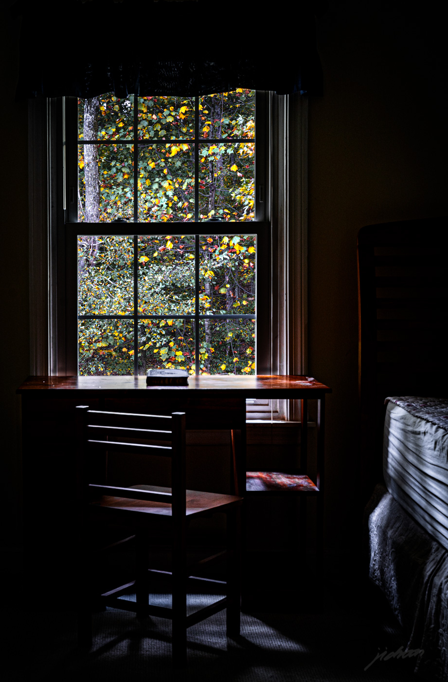 201022_Window_Backyard_Fall_12429-6.jpg