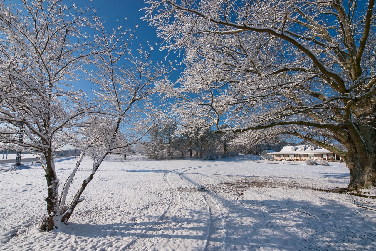 snowy morning house.jpg