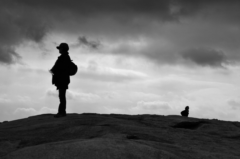 IMG_8426 (2)(800x533).jpg