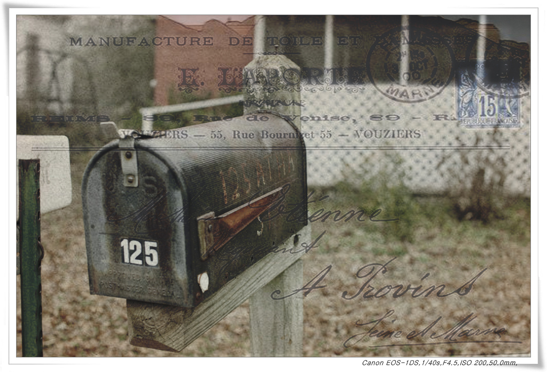 forgotten mail.jpg