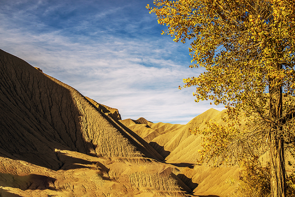 10-27,28-14_2061 copy.jpg