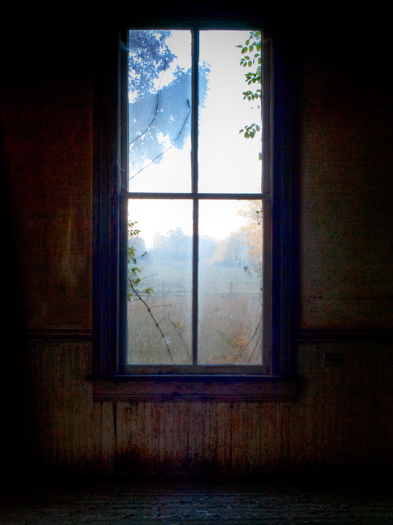 WINDOW VIEW.jpg