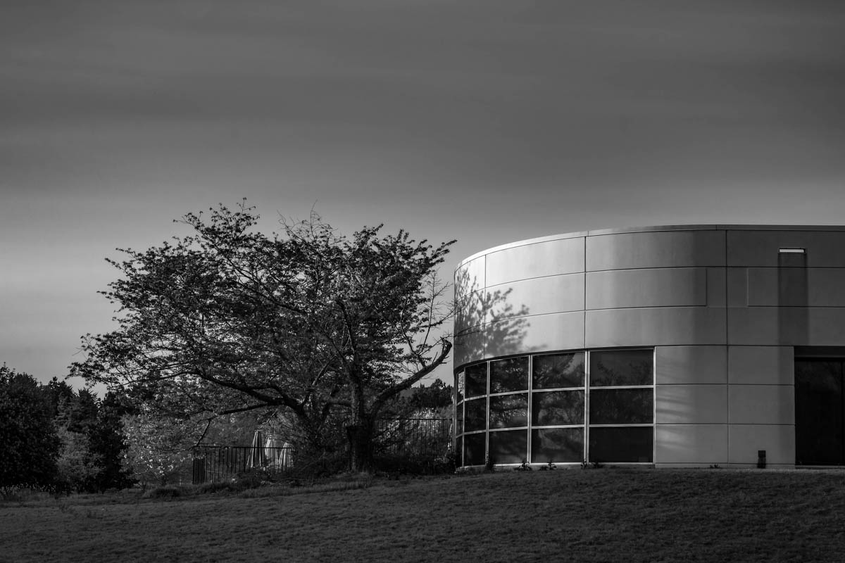 monocrom - tree by curve.JPG