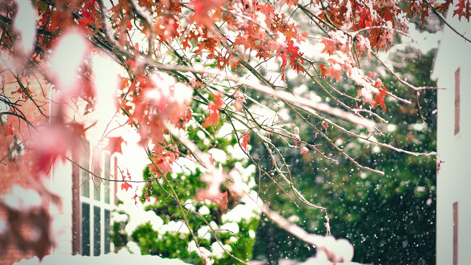 MHY07500-X - Copy.jpg