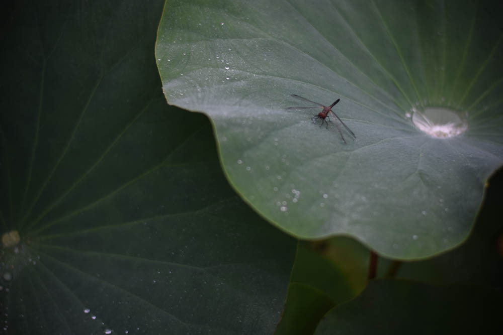 아사동 숙제 2a.jpg