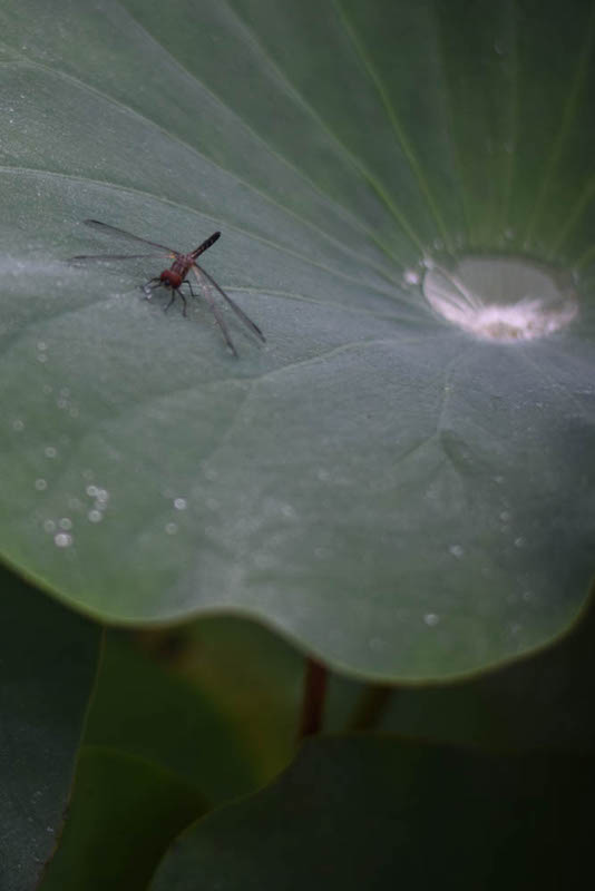 아사동 숙제 2b.jpg