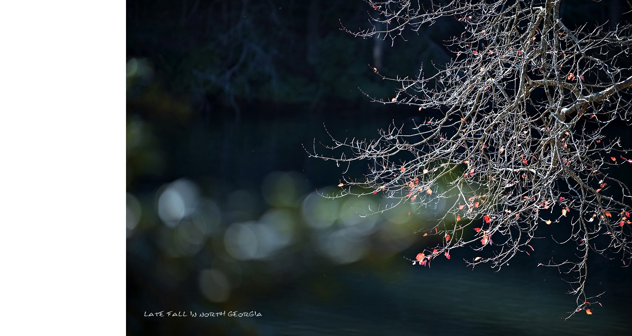 11072010_0141 copy.jpg