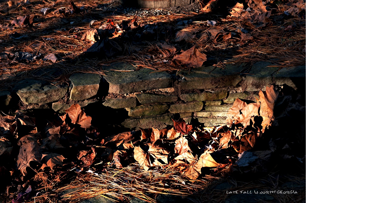 11072010_0248 copy.jpg