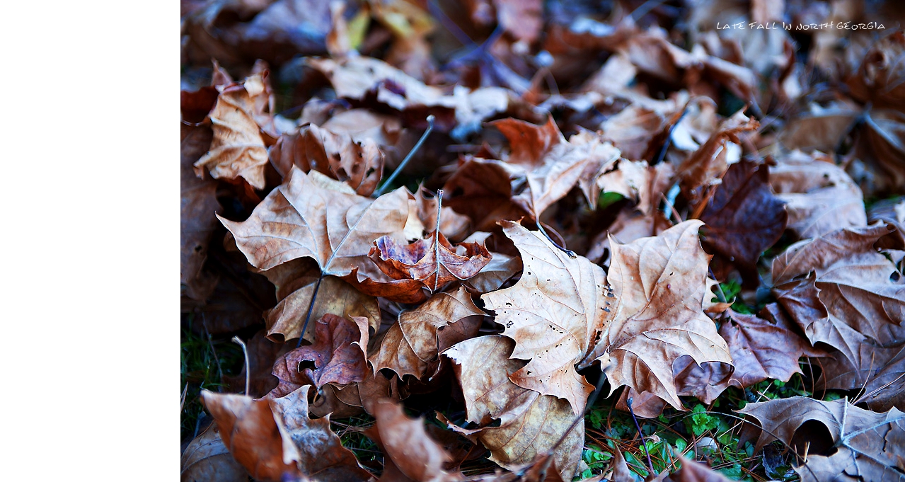 11072010_0281 copy.JPG