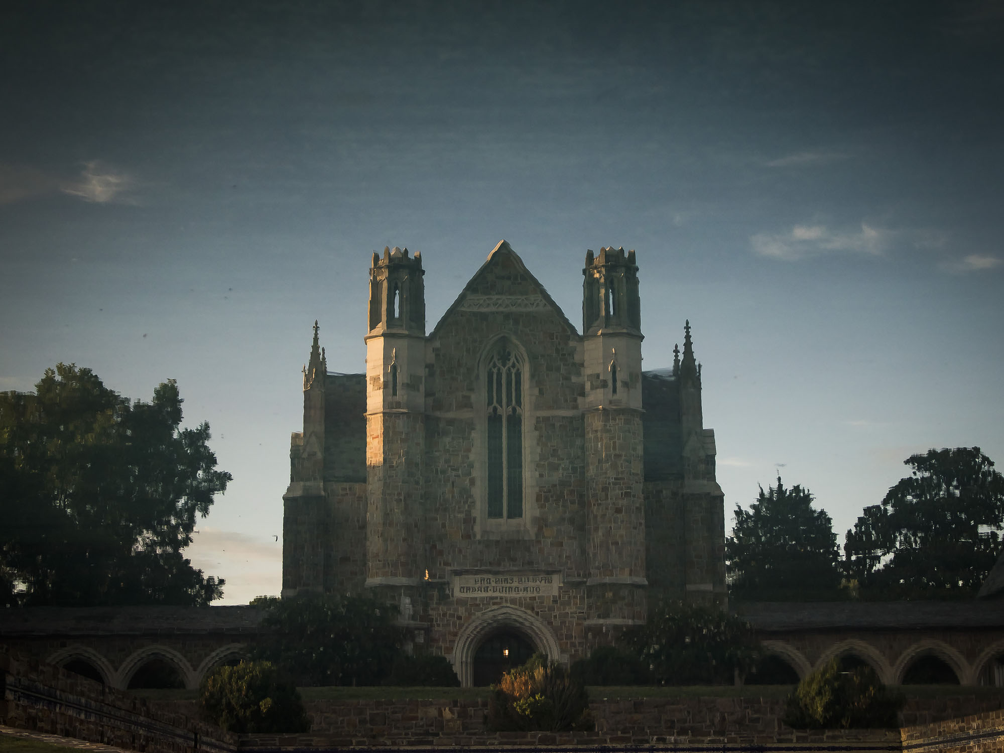 IMG_1755 ---------3.jpg