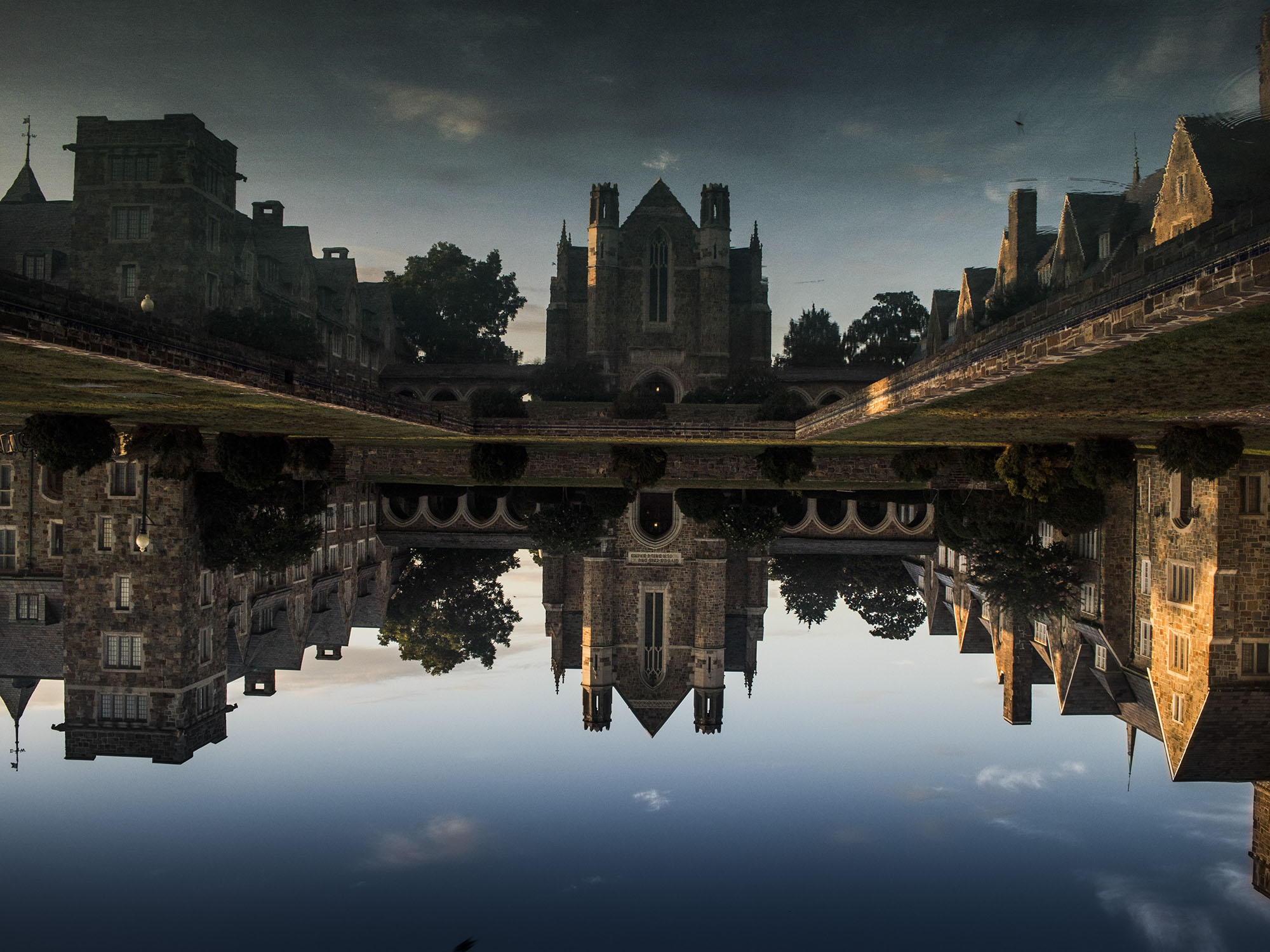 IMG_1736 ---------3.jpg