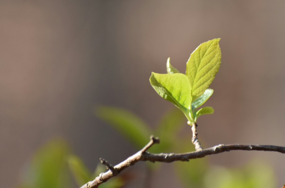 2017-03-11 23.25.28.jpg