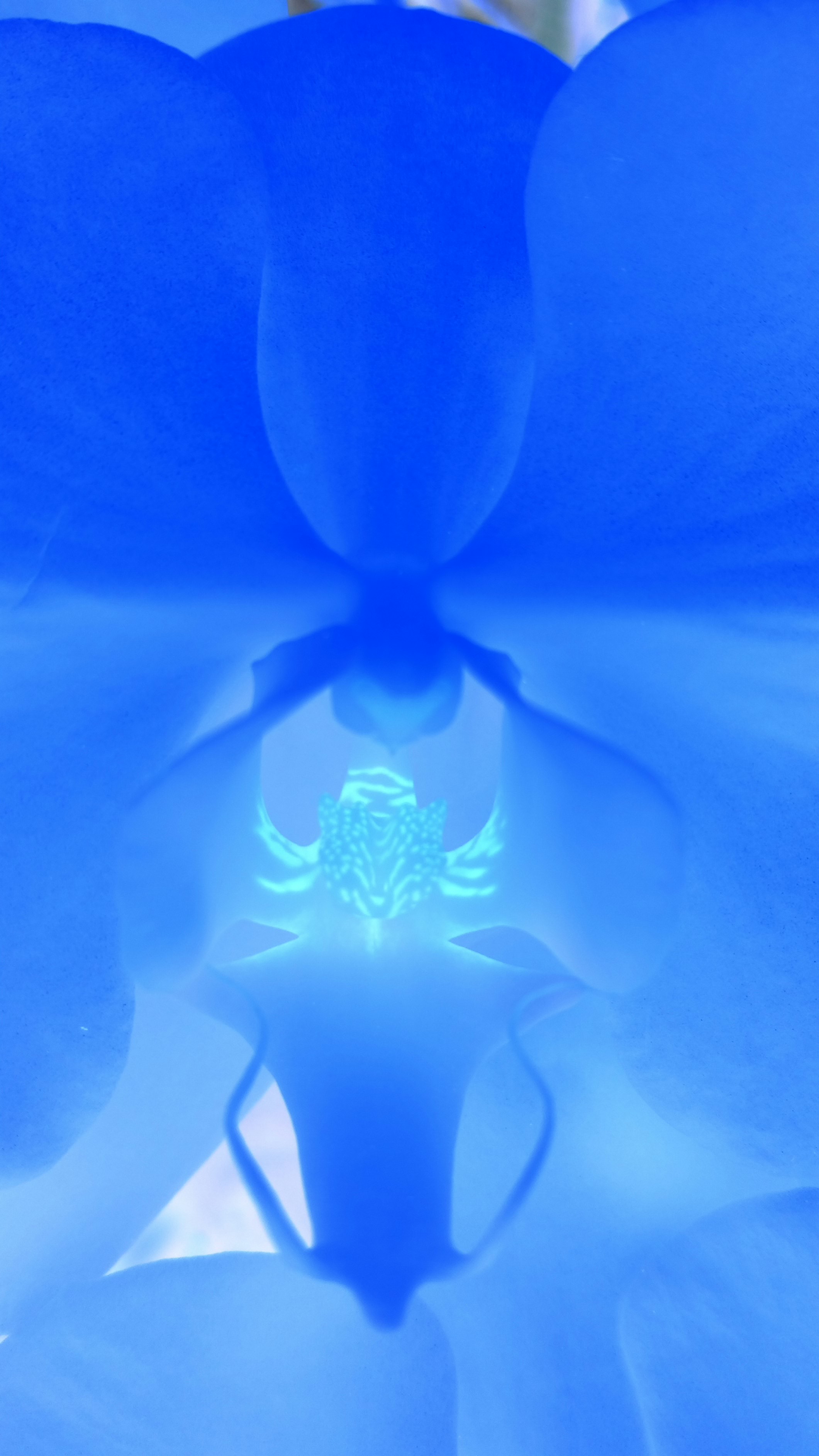 2017-03-11 12.43.15.jpg